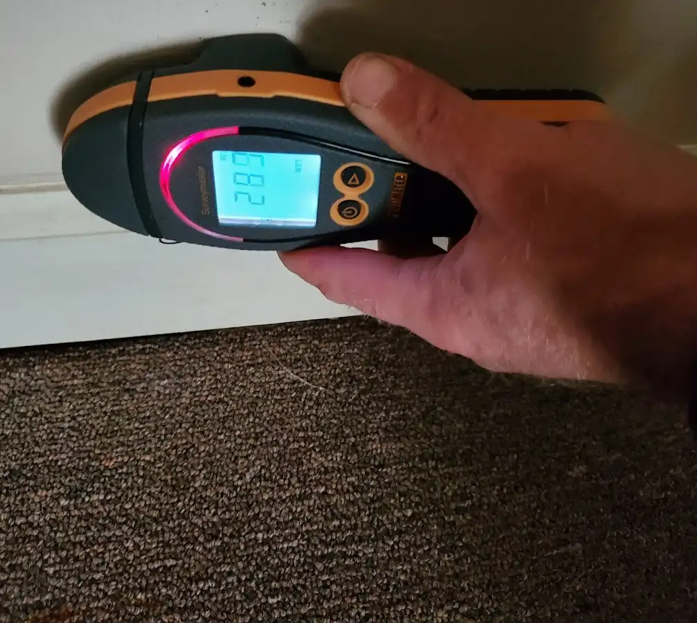 Moisture detection at baseboard during Sewage Cleanup & Sanitation in Green River